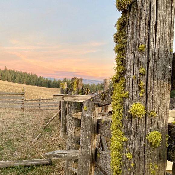 Meet your Posher, Rebecca Ball ❣️ - Picture 7 of 13